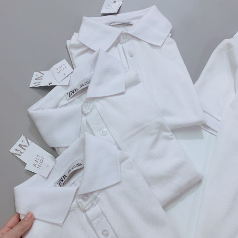 ÁO POLO CỔ ĐỨC