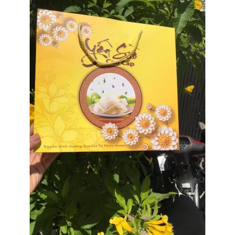SET 10 TÚI ĐỰNG YẾN SÀO CAO CẤP