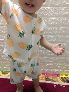 Set 5 bộ hoa quả cho bé yêu