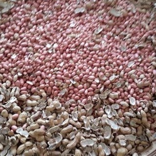 Lạc nhân trắng Nghệ An bóc tay loại 1 🥜 Túi 𝟏𝐊𝐆 🥜 phơi khô, chứa hàm lượng dinh dưỡng cao