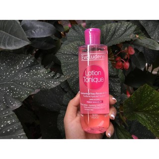 Nước Hoa Hồng Evoluderm 250ml