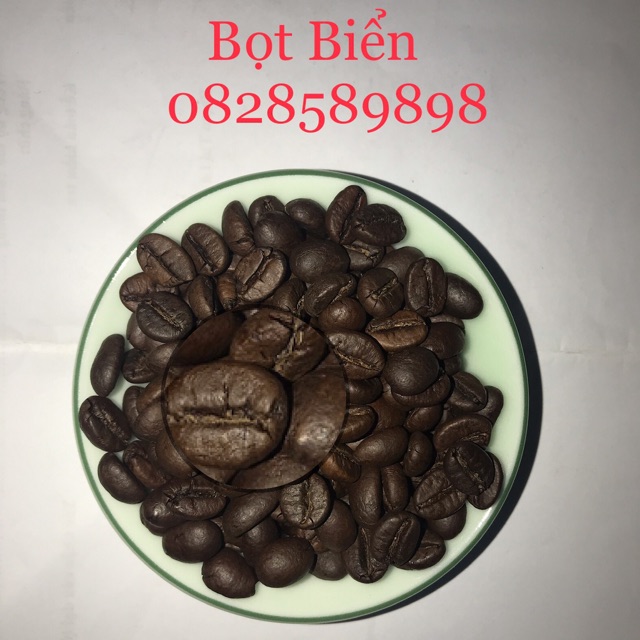 Bọt Biển Coffee