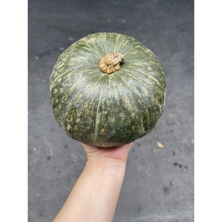 Giao HCM - Bí Đỏ giống Nhật 1 Trái ~ 1kg