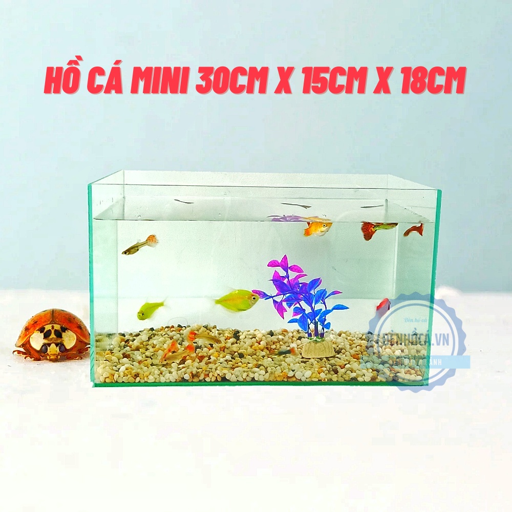 Bể cá mini để bàn COMBO Chọn mẫu