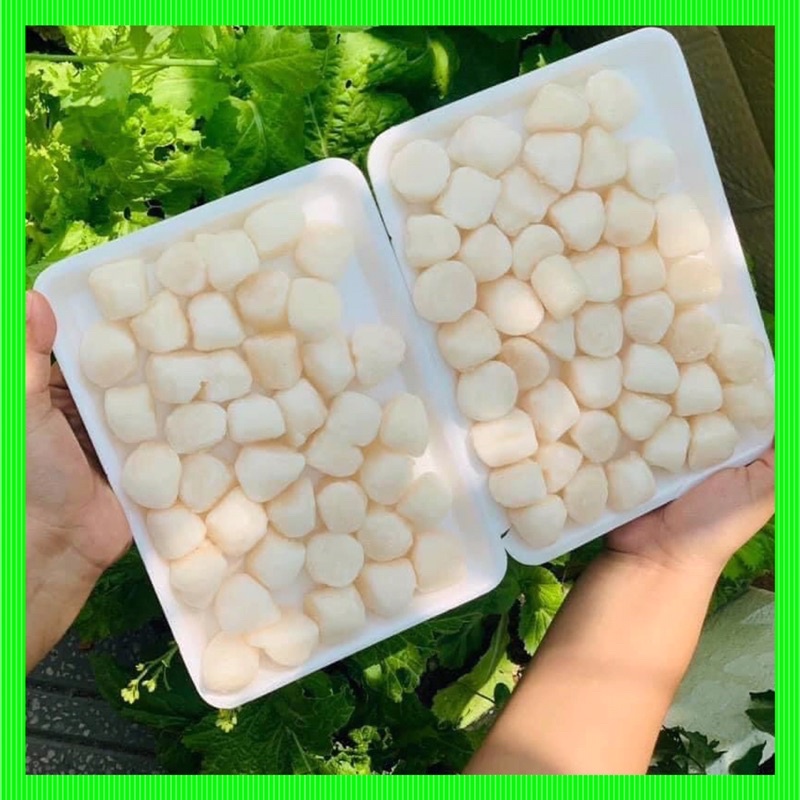 CỒI SÒ ĐIỆP 500gr