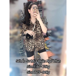 Set áo sơ mi + quần ngố thun