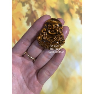 Mặt ngài di lạc mắt hổ