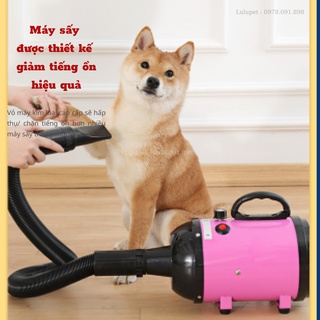 [HÀNG LOẠI 1] Máy sấy lông chó mèo  🐶 thú cưng 🐶 chuyên dụng, tặng kèm 1 khăn tắm siêu thấm và lược chải lông.