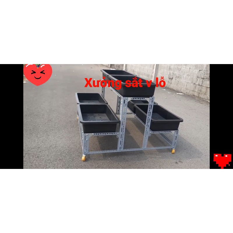 Kệ sắt v lỗ trồng rau Thông Minh 2 Tầng 6 khay  bao chắc 🥰