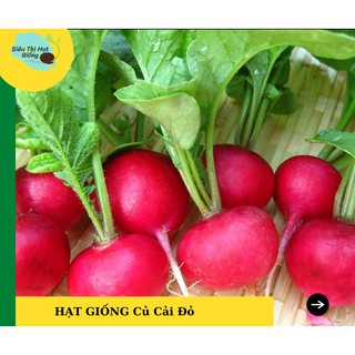 [Seeds] Hạt Giống Củ Cải Đỏ Tròn