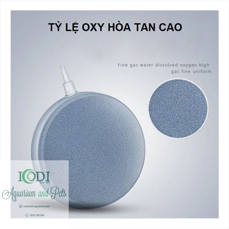 Đĩa sủi oxy cho bể cá cảnh - bể thủy sinh