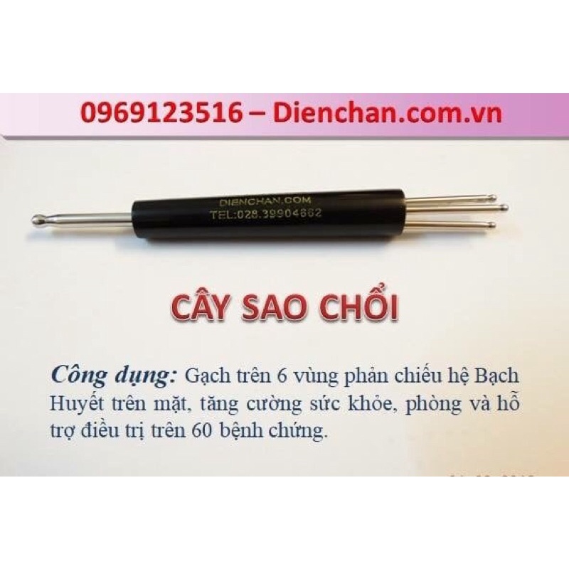 Sao chổi Diện Chẩn