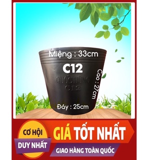 Combo 30 cái chậu nhựa C12 trồng cây