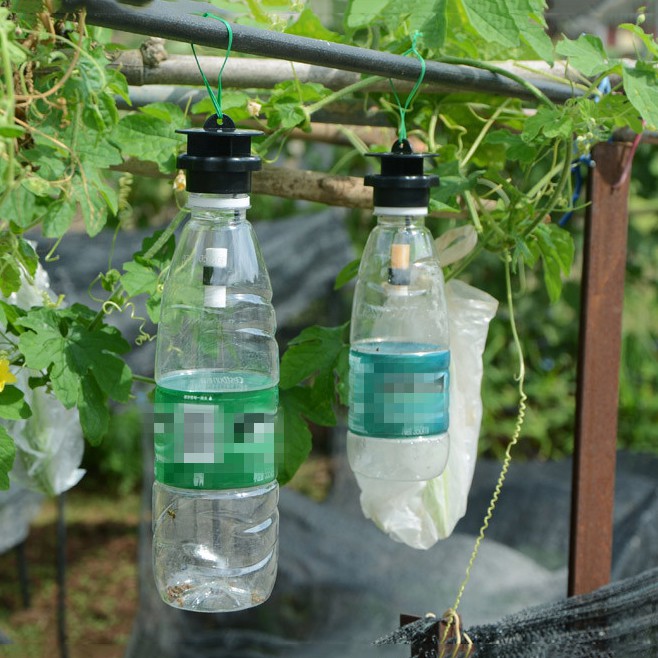Bộ 2 Dụng cụ bẫy Ruồi vàng NR-4L, Nắp bẫy Ruồi Muỗi Ong, Ruồi Dấm + thuốc dẫn dụ