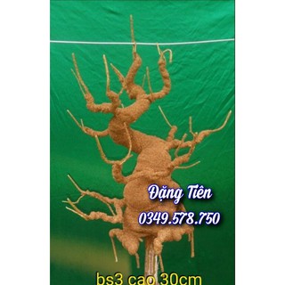 Gốc cây bonsai thân nâu BS3 làm hoa kẽm nhung, hoa đá...