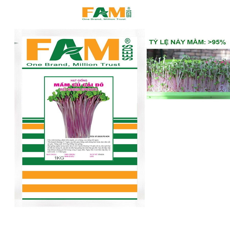 Gói 1Kg Hạt Giống Rau Mầm Củ Cải Đỏ FAM SEEDS - Xuất Xứ Italy, Hạt To, Chắc, Đều Hạt, Nảy Mầm Rất Tốt, Năng Suất Cao