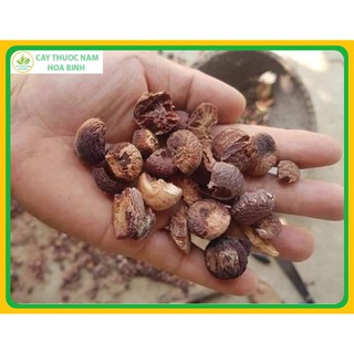 1kg hạt cau khô