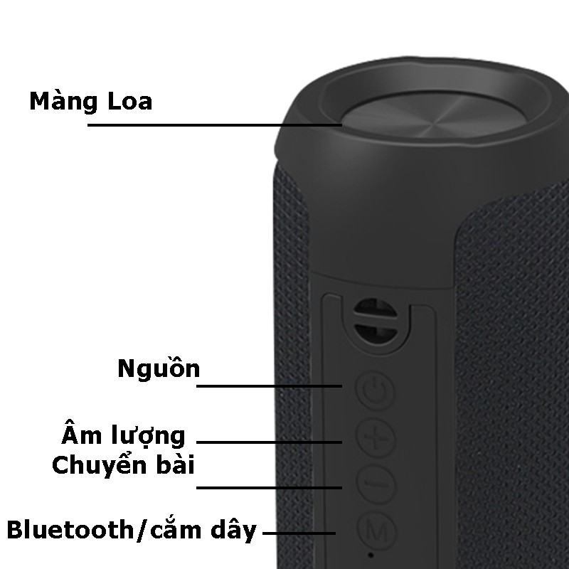 Loa Bluetooth Không Dây cầm tay PKCB250 mini - Hàng Chính Hãng