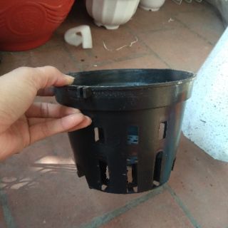 Chậu nhựa đen trồng lan phi 18cm