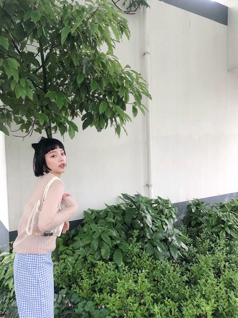 Túi trong suốt đi biển