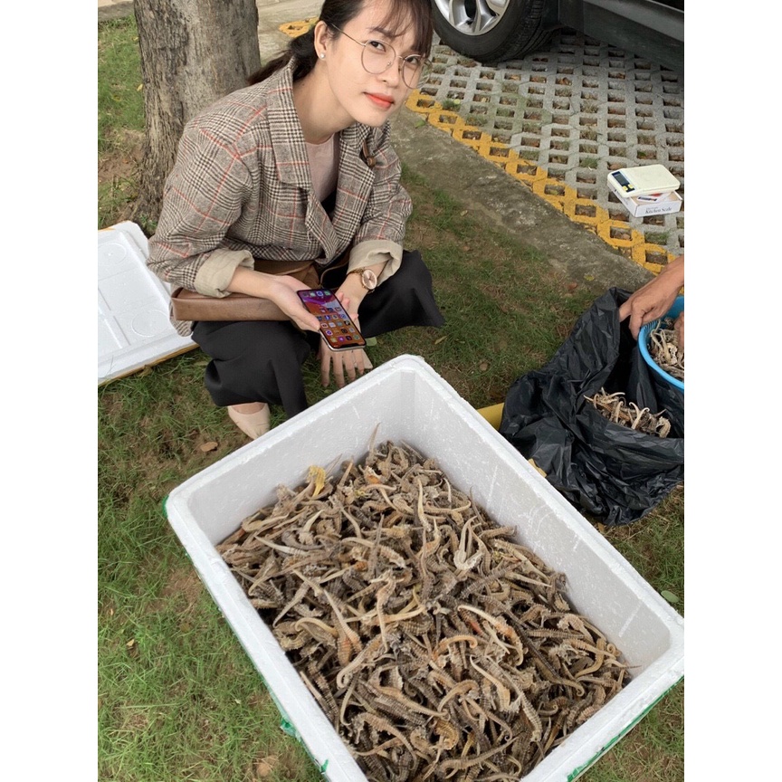 Cá ngựa khô 15k