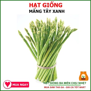Hạt Giống Măng Tây 0.2 Gram