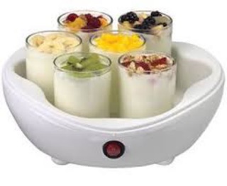 Máy làm sữa chua Kangaroo 6 cốc, 12 cốc