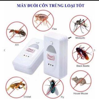 Máy đuổi chuột và côn trùng