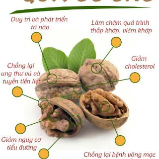 Quả óc chó Mỹ