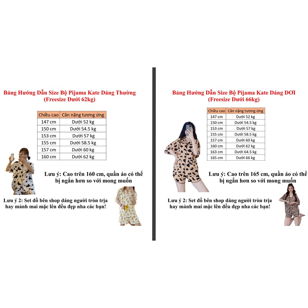 KĐ-13 Bộ Pijama Nữ HOA QUẢ NGẮN VÀ DÀI - Chất Kate | BigBuy360 - bigbuy360.vn
