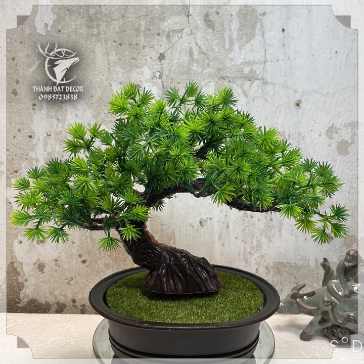 Chậu Cây Tùng Bonsai Bằng Nhựa Trang Trí Tiểu Cảnh, Trang Trí Kèm Các Mẫu Tượng Mini