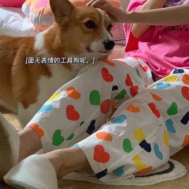 Quần Ngủ Liền Thân Dáng Rộng Họa Tiết Cầu Vồng Thời Trang Mùa Hè Cho Nữ