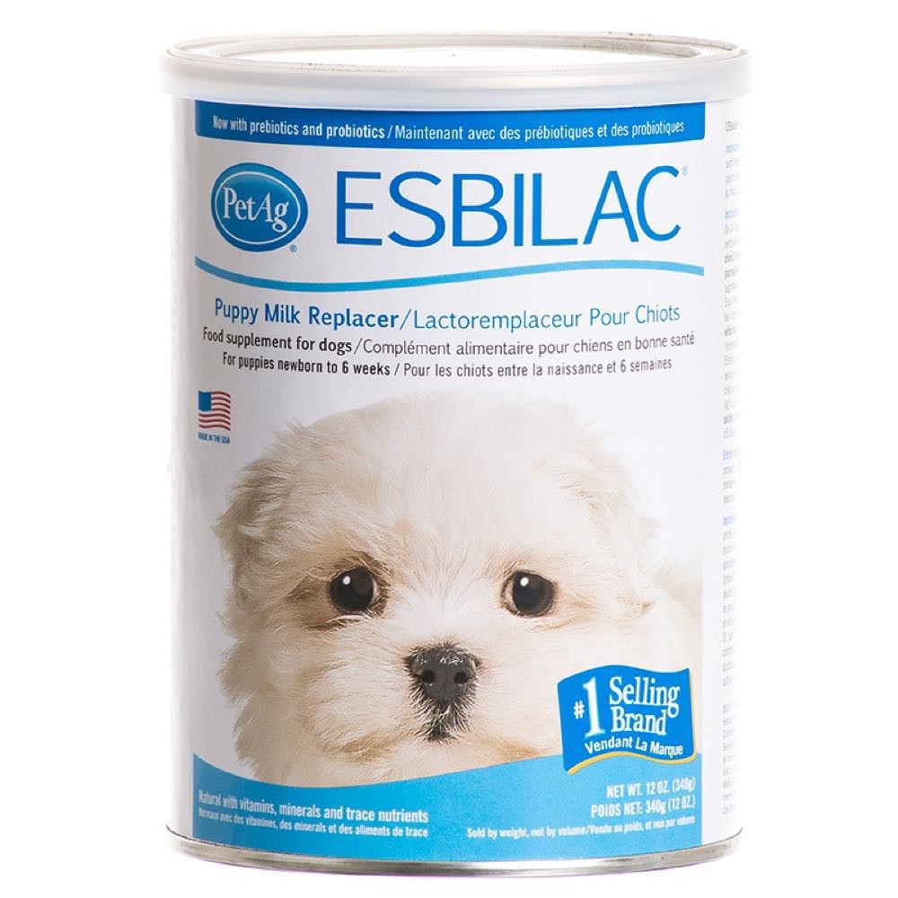 Sữa bột cho chó con - Esbilac 340g