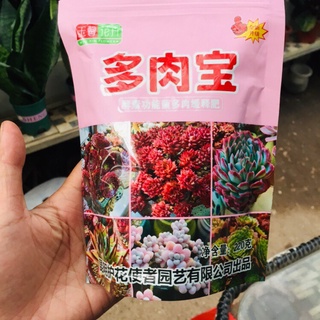 Phân bón tan chậm giúp sen đá lên màu siêu đẹp, phân chuyên dụng cho sen đá siêu dinh dưỡng