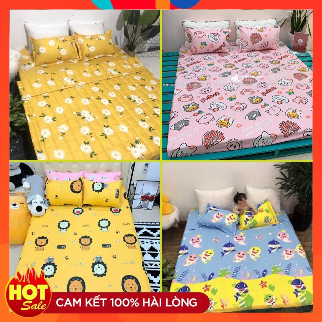 💗Freeship 50k💗Bộ drap nệm 1m6 x 2m / 1m8 x 2m 1 ga chun 2 vỏ gối nằm 45 x 65