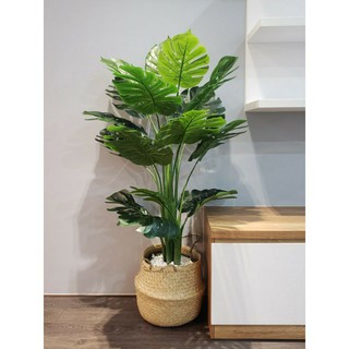 Cây giả decor - cây lá rách kèm chậu và giỏ cao m4