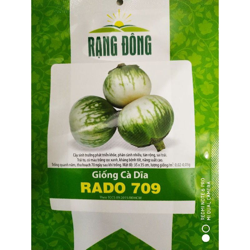 Hạt giống Cà dĩa 0.5gr❤️FREESHIP XTRA❤️