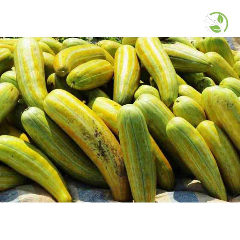 Hạt Giống Dưa Gang Sweet PN-555 Phú Nông - Gói 1g