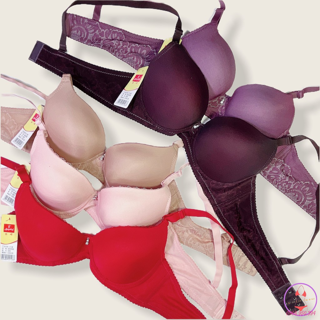 Áo ngực trơn mút vừa 3cm cài sau CUP B MS359