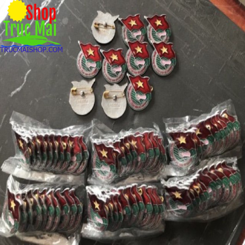 Huy Hiệu Đoàn Việt Nam