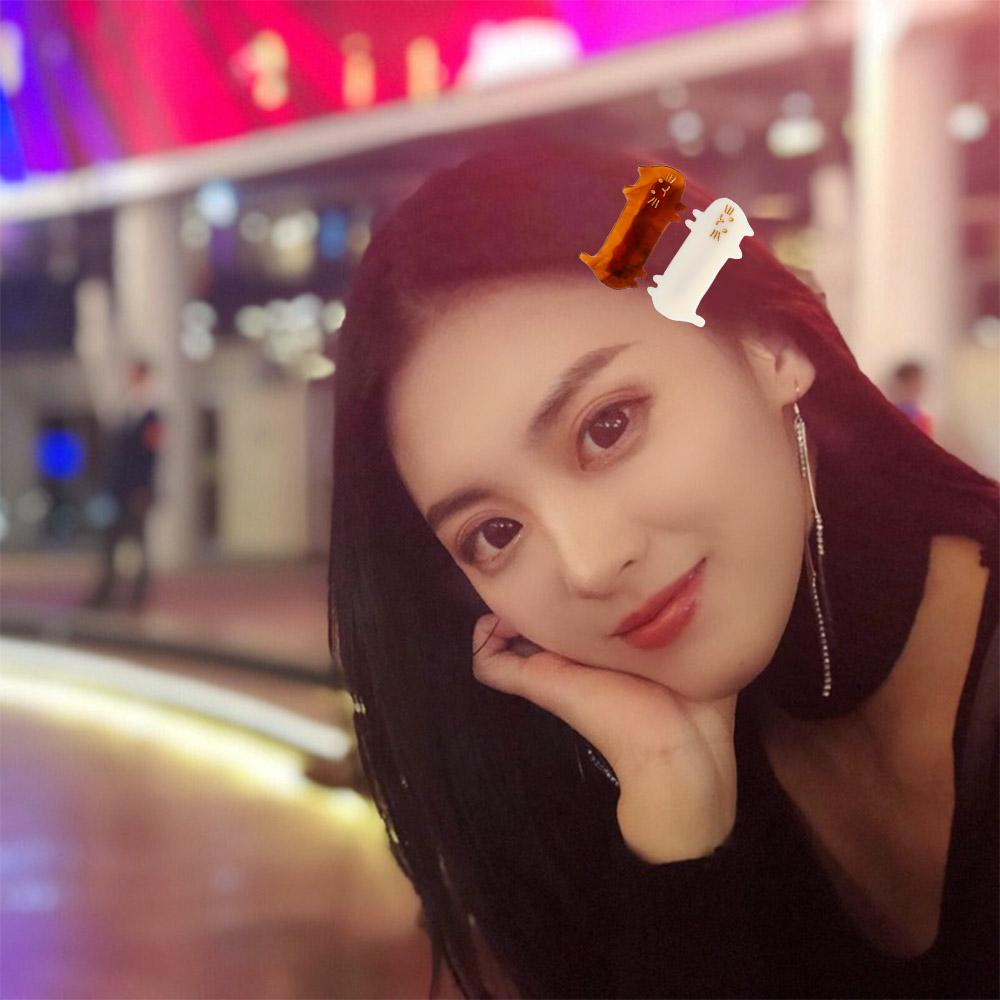 Kẹp Tóc Nhựa Hình Mèo Hoạt Hình Phong Cách Hàn Quốc Ngọt Ngào VANES1 Dành Cho Bạn Nữ