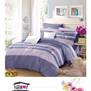 Bộ drap hàn quốc 100% cotton m8-m6