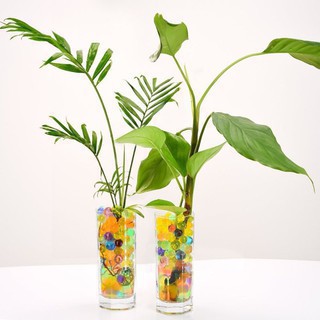 Set 10000 hạt nở ngâm nước giảm mạnh