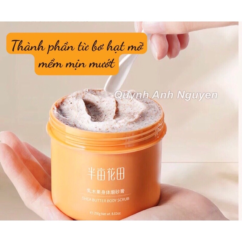 Tẩy da chết body Little Dream Garden chiết xuất bơ hạt mỡ hũ lớn 250g