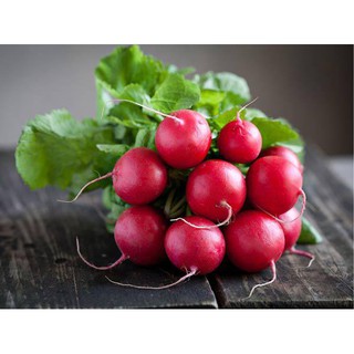 Hạt Giống Củ Cải Đỏ F1
