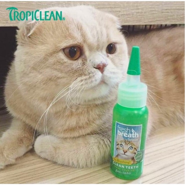 Gel làm sạch răng miệng cho mèo Tropiclean Fresh Breath (59ml)