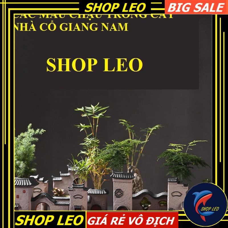 CHẬU TRỒNG CÂY NHÀ CỔ GIANG NAM - SET HỒ THỦY SINH - BÁN CẠN - TIỂU CẢNH