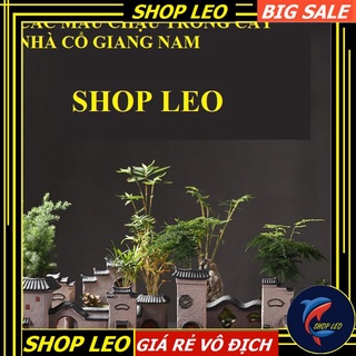 CHẬU TRỒNG CÂY NHÀ CỔ GIANG NAM - SET HỒ THỦY SINH - BÁN CẠN - TIỂU CẢNH