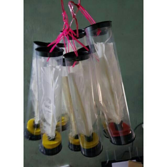 CẦU ĐÁ THỂ DỤC (10 QUẢ)