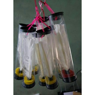 CẦU ĐÁ THỂ DỤC (10 QUẢ)